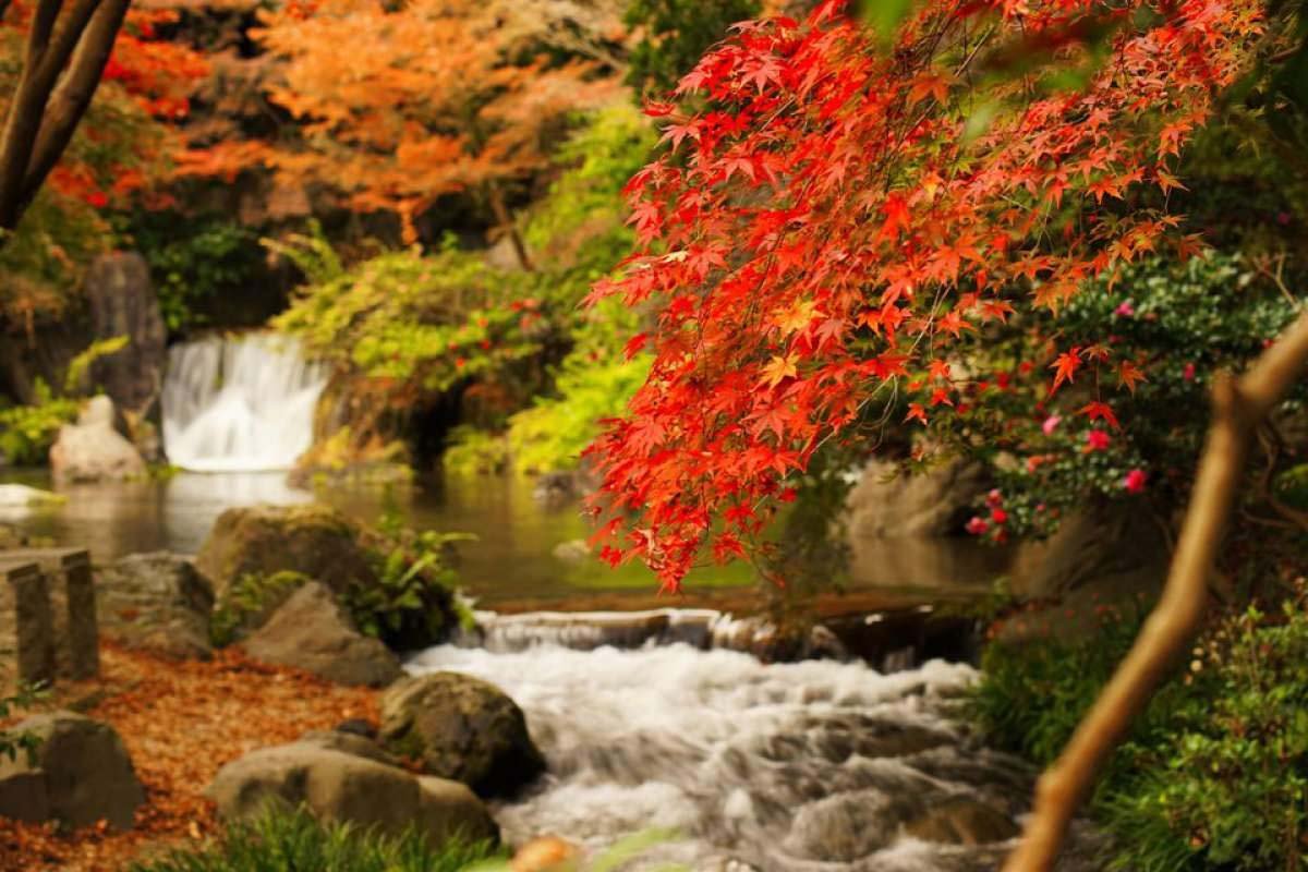 🏞️ 만박기념공원 일본 정원 (니혼테이엔) 이미지 7